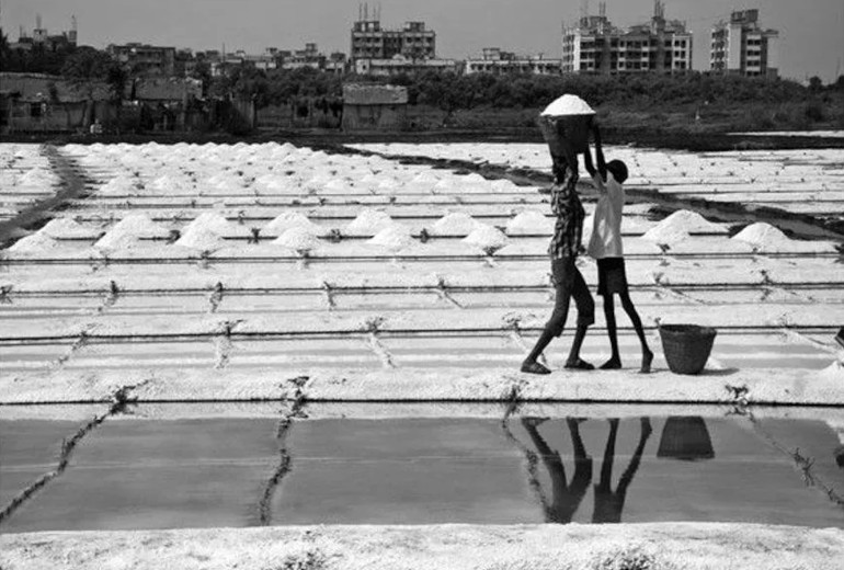 256-acres of salt pan land approved for Dharavi redevelopment project