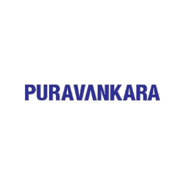 Developer Logo
